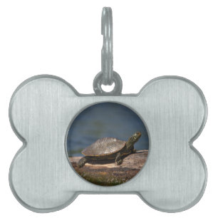 Painted turtle on a log pet tag
