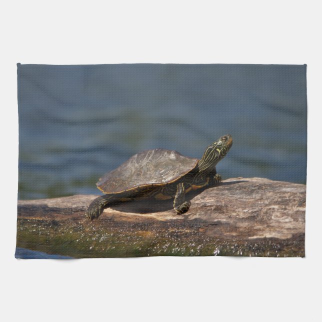 Painted turtle on a log tea towel (Horizontal)