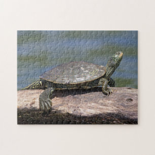 Painted Turtle on a sunny day Jigsaw Puzzle