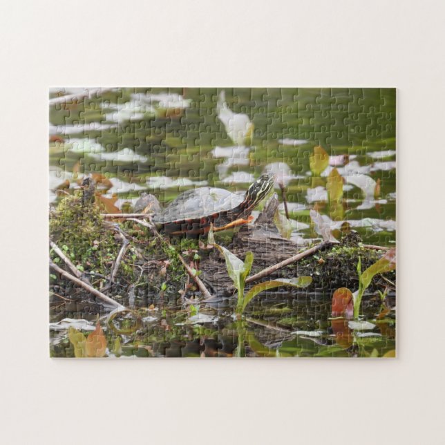 Painted Turtle on Log in Pond Jigsaw Puzzle (Horizontal)