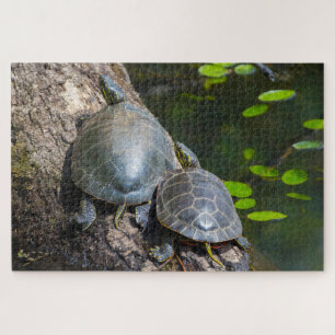 Painted Turtle Pair Jigsaw Puzzle