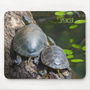 Painted Turtle Pair Mouse Mat
