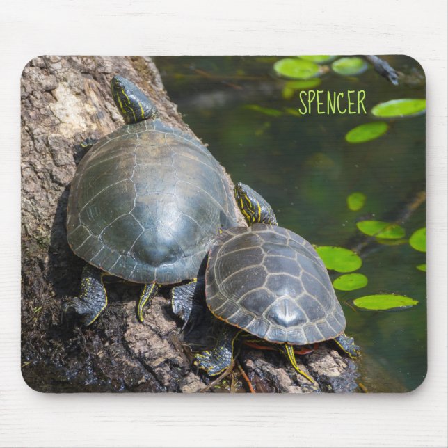 Painted Turtle Pair Mouse Mat (Front)