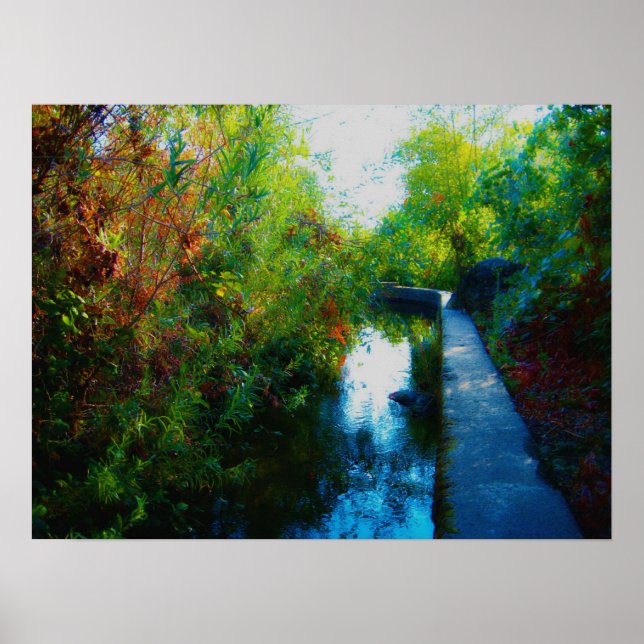 "Painted Water" Poster (Front)