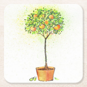 Painted watercolor citrus tree in pot square paper coaster