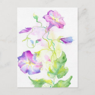 Painted watercolor convolvulus flowers postcard