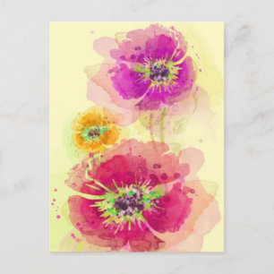 Painted watercolor poppies 2 postcard
