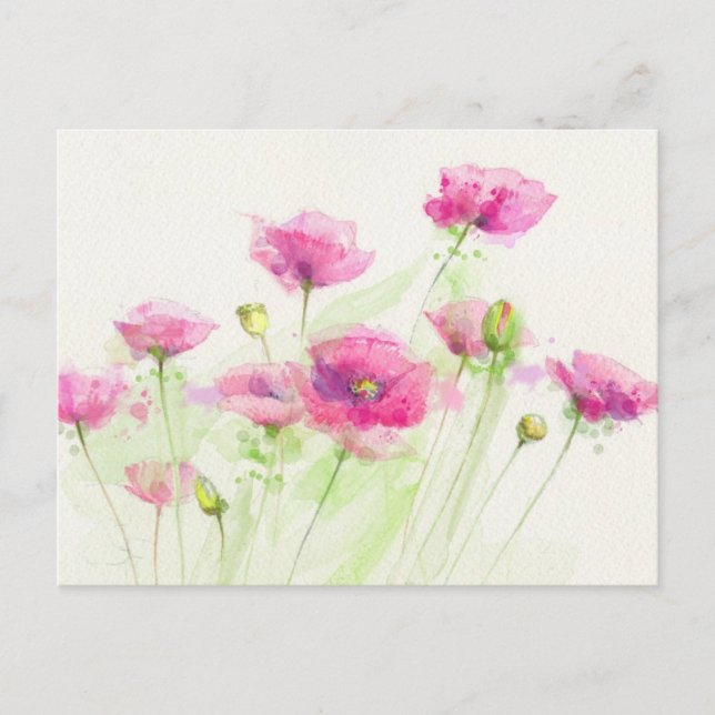 Painted watercolor poppies 3 postcard (Front)