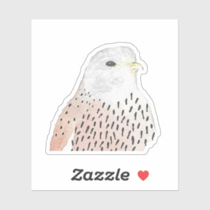 Painted Watercolor Wildlife Nature Bird Kestrel