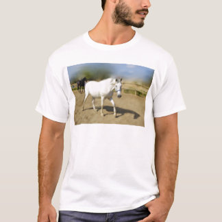 PAINTED WHITE HORSE T-Shirt
