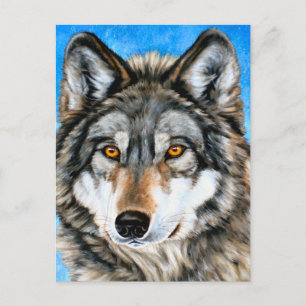 Painted Wolf Postcard
