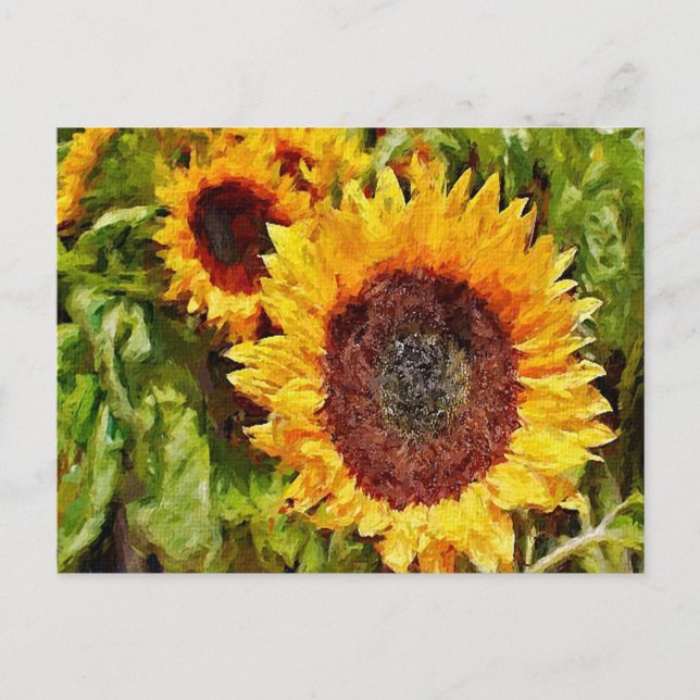 Painted Yellow Sunflowers Postcard (Front)