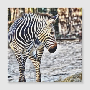 Painted Zebra 11218