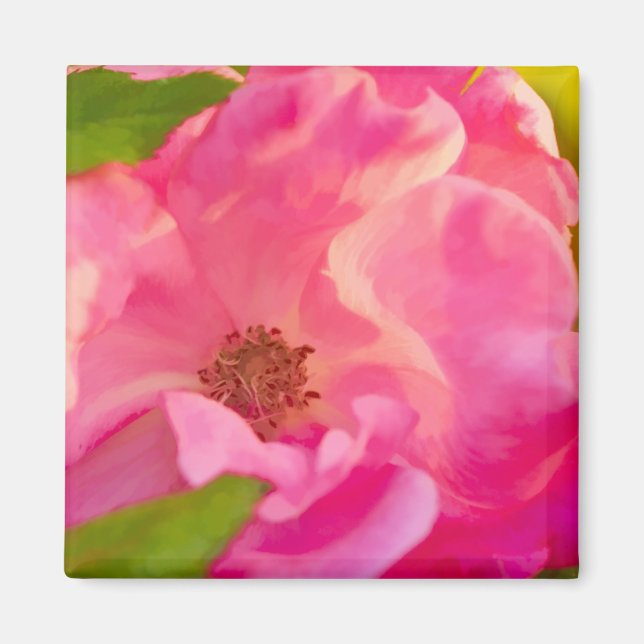 Painterly Abstract Pink Rose Floral Photography Magnet (Front)