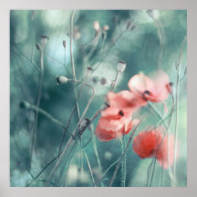 Painterly Soft Poppies on Aqua Green Background