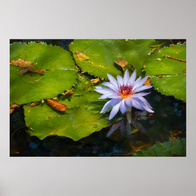 Painterly Water Lily Poster (Front)