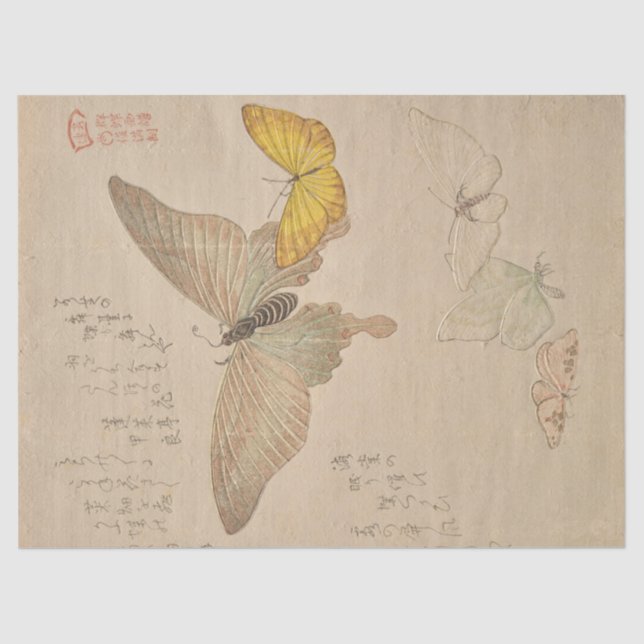 Painting Manual of Flock of Butterflies by Shunman Tissue Paper (Front)