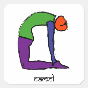 Painting of camel yoga pose with Sanskrit text. Square Sticker