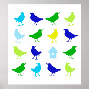 Painting of Coloured Birds by Chariklia Zarris Poster
