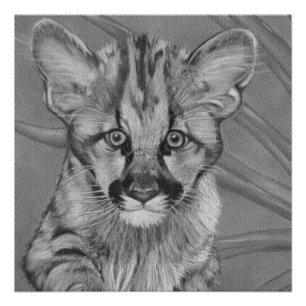 painting of cute cougar kitten big cat wildlife poster