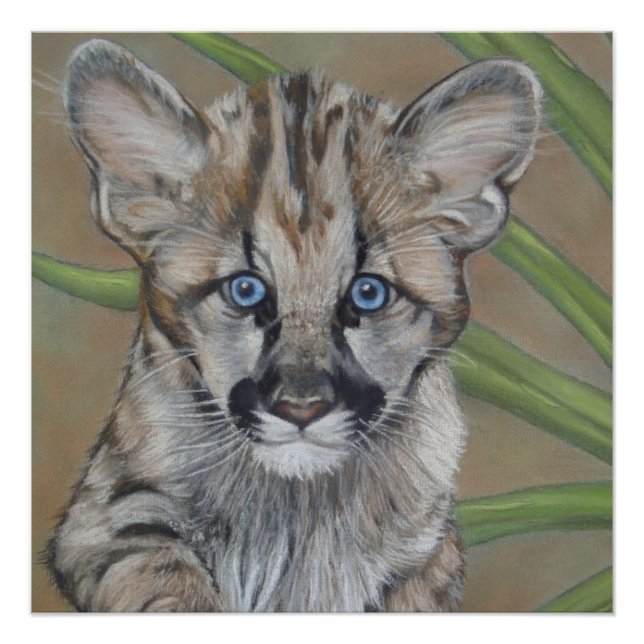 painting of cute cougar kitten big cat wildlife poster (Front)