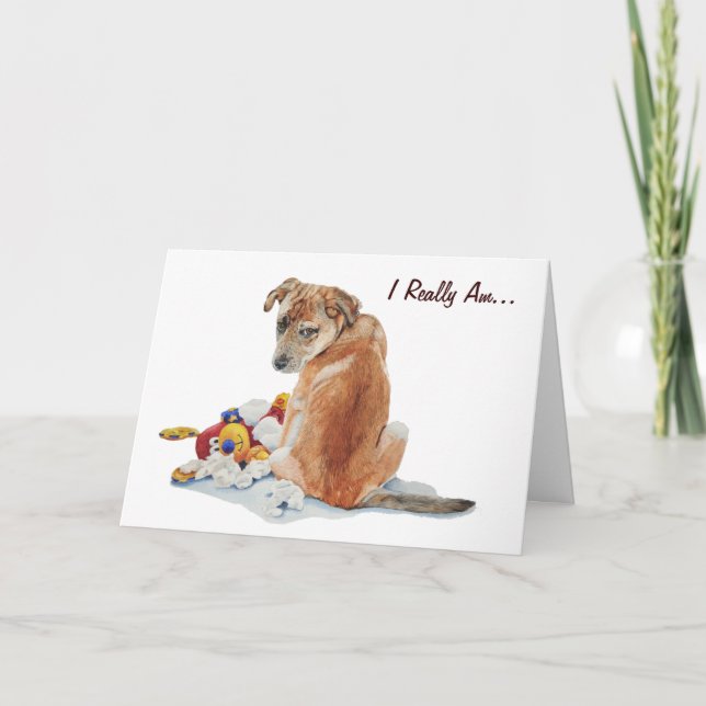 painting of cute puppy and teddy dog sorry card (Front)
