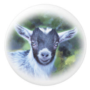 Painting of my Pygmy Goat  Savannah Ceramic Knob