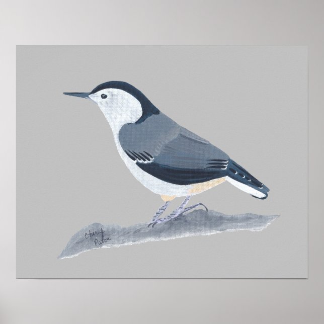 Painting of Nuthatch Bird on Wall Posters (Front)