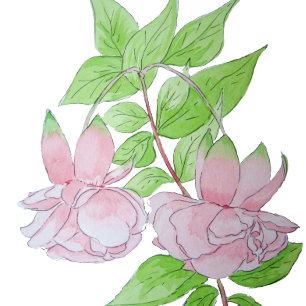 painting of pretty pink flowers coffee mug
