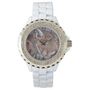 painting of red fox sleeping wildlife watch