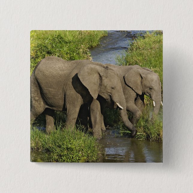 Pair of African Elephants Masai Mara 15 Cm Square Badge (Front)