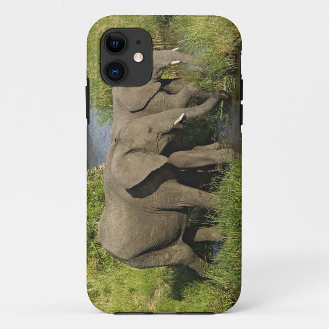 Pair of African Elephants Masai Mara Case-Mate iPhone Case (Back)