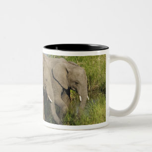Pair of African Elephants Masai Mara Two-Tone Coffee Mug