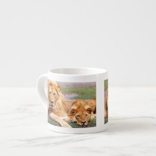 Pair of African Lions, Panthera leo, Tanzania Espresso Cup