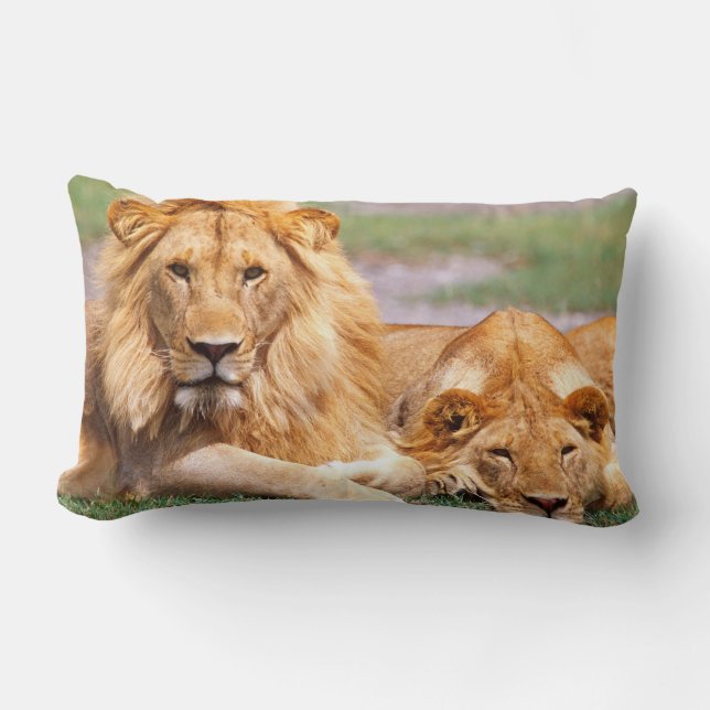 Pair of African Lions, Panthera leo, Tanzania Lumbar Cushion (Front)