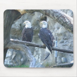 Pair of Bald Eagles Mouse Mat