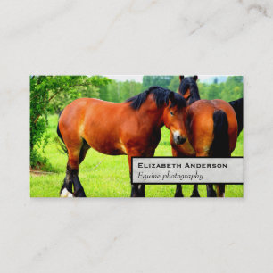 Pair Of Bay Polish Horses Green Landscape Business Card
