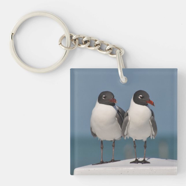 Pair of Black Headed Gulls Key Ring (Front)