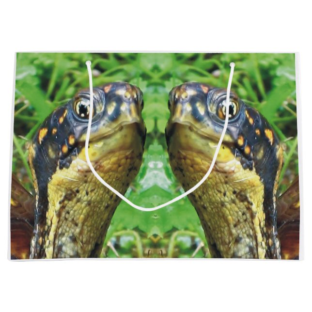 Pair of Box Turtle Friends Gift Bag (Front)