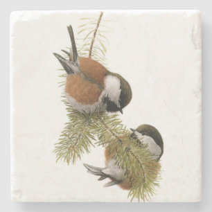 Pair of Chestnut-backed Chickadee on Pine Tree Stone Coaster