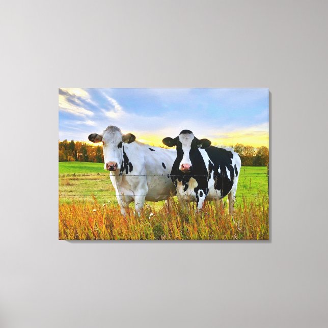 Pair of Cows in the Pasture Canvas Print (Front)