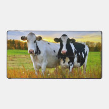 Pair of Cows in the Pasture