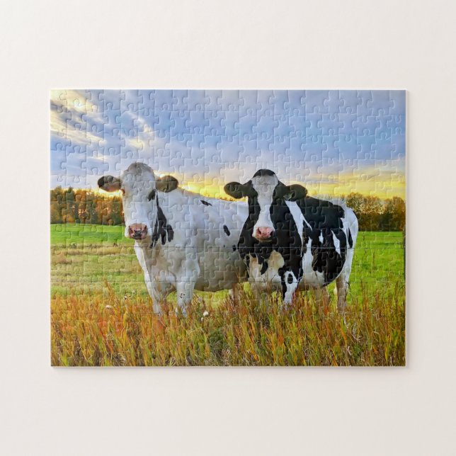 Pair of Cows in the Pasture Jigsaw Puzzle (Horizontal)