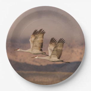 Pair of Cranes in the New Mexico Skies Paper Plate