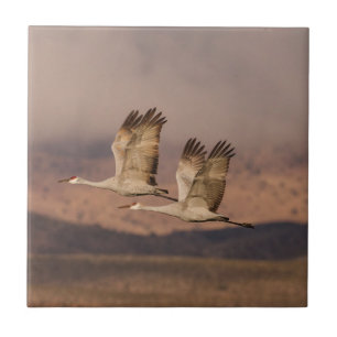 Pair of Cranes in the New Mexico Skies Tile