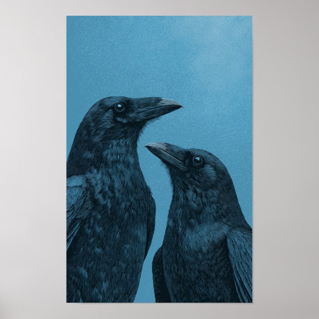 Pair of crows on a blue background poster (Front)