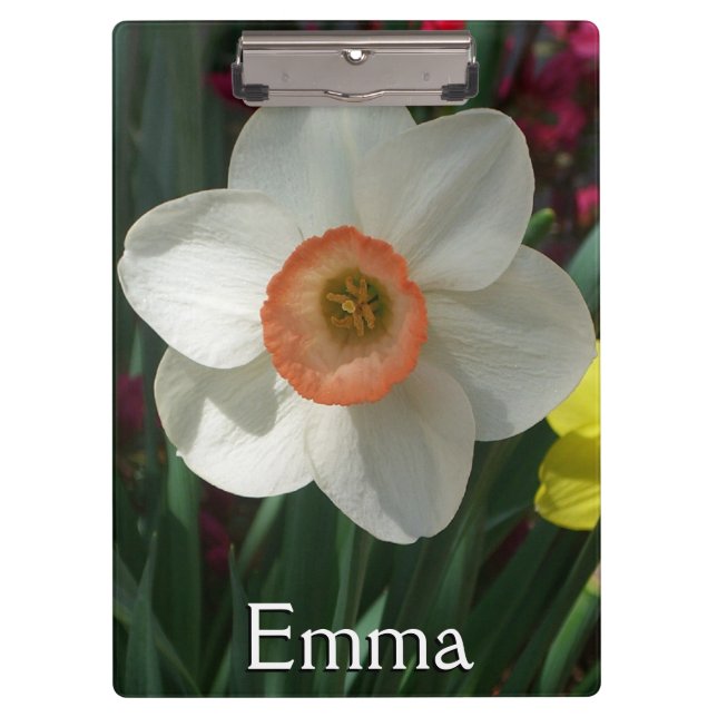 Pair of Daffodils Pink and Yellow Spring Flowers Clipboard (Front)