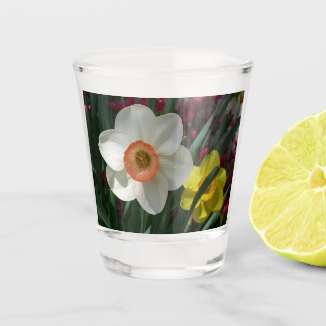 Pair of Daffodils Pink and Yellow Spring Flowers Shot Glass (Front)