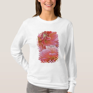 Pair of Dahlia flowers, Dahlia spp. , T-Shirt