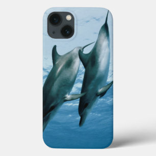 Pair of Dolphins iPhone 13 Case